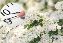 В Раде провалили голосование за отмену перевода часов