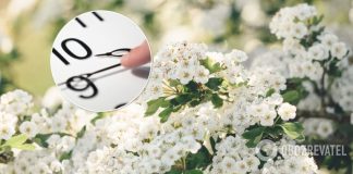 В Раде провалили голосование за отмену перевода часов