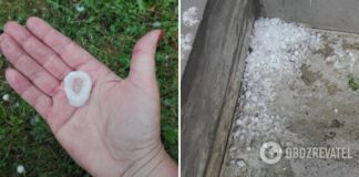 Тернопольщину засыпало градом размером с перепелиное яйцо. Фото и видео
