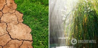 Число экстремальных погодных явлений в Украине будет расти: климатолог озвучила прогноз
