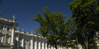 Эксперт оценил продажу Эрмитажем NFT-токенов