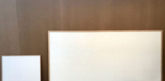 Художник Йенс Хаанинг украл у музея полмиллиона, объявив это искусством