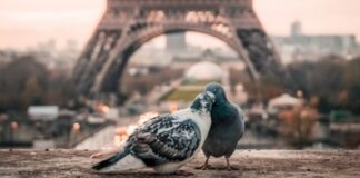 Названы туристические достопримечательности Европы, лидирующие по запросам в Google Maps