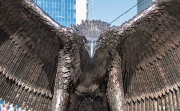 США извинились за «ужасную ошибку», совершенную в Кабуле