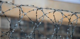 Туриста приняли за босса Коза Ностры и из ресторана отправили в тюрьму строгого режима