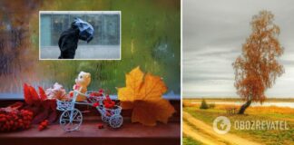 Украинцев предупредили о резком ухудшении погоды: названы регионы. Прогноз на воскресенье