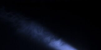 Альфа-самцу наставили рога