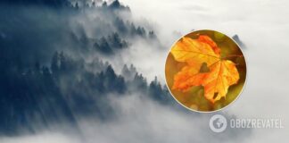 Часть Украины накроет сильный туман: синоптики дали прогноз погоды на воскресенье