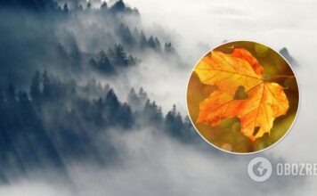 Часть Украины накроет сильный туман: синоптики дали прогноз погоды на воскресенье