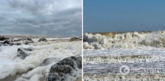 В Кирилловке зафиксировали редчайший природный феномен »прибрежный капучино». Фото