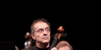 Воронежская камерата забралась даже на крышу