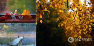 Возможны ливни и даже осенние грозы: синоптики рассказали, какой погоды ждать в октябре