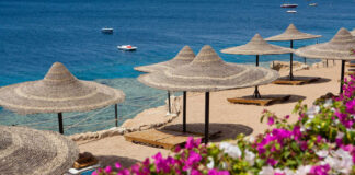 Собираемся на отдых в Египет: как выбрать горящий тур