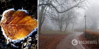 Туманы и до -8: синоптики дали новый прогноз погоды на вторник. Карта