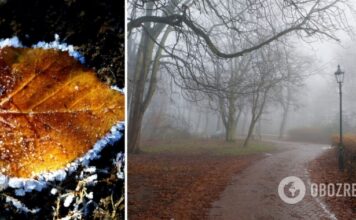 Туманы и до -8: синоптики дали новый прогноз погоды на вторник. Карта