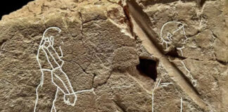 В музейных запасниках сделали удивительные находки: от Рубенса до призрака