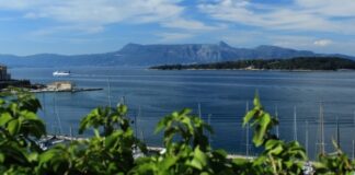 Власти Греции подтвердили, что признают «Спутник», несмотря на проблему со считыванием QR-кода