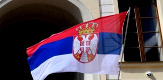 В Сербии назначена дата референдума об изменении Конституции