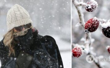 В Украину идет резкое похолодание со снегом и гололедицей. Карта