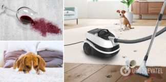 Как легко вывести пятна с ковра: лайфхаки на все случаи