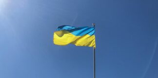 На Украине посла Израиля назвали агентом Кремля и призвали выгнать из страны