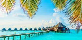 Почему стоит посетить Мальдивы