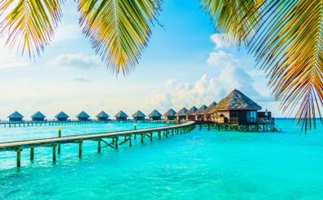 Почему стоит посетить Мальдивы