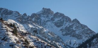 На пост главы Туркмении выдвинут сын действующего президента