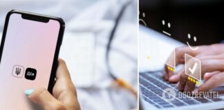 В Украине смогут проводить опрос через Дію: детали решения Кабмина