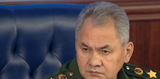 В НАПК потроллили Шойгу за масштабную коррупцию в армии РФ: «Неоценимый вклад для Украины»