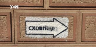 «З шкури вилазимо…» – опытный летчик возмутился поведением украинцев во время воздушной тревоги