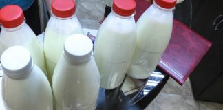 Грузия будет поставлять молоко в Россию