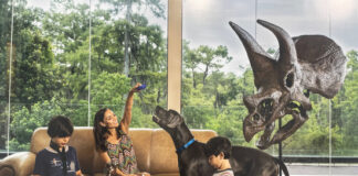 Бродячая луна и мир вверх тормашками: в Москве открылась фотобиеннале