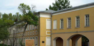 В Музее декоративного искусства выросла синяя плесень и золотой писсуар