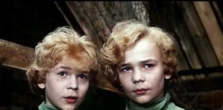 Снимается продолжение советского фильма «Приключения Электроника» с участием братьев Торсуевых