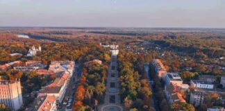 Украинские военные в Чернигове смогли отвести дрон-камикадзе от жилых домов