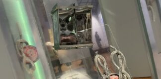 В Третьяковке показали сложный ритм человечества