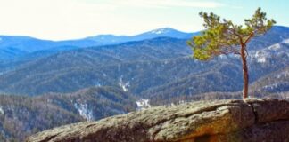 Глава Ростуризма отказалась от должности заместителя министра экономического развития