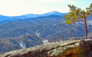 Глава Ростуризма отказалась от должности заместителя министра экономического развития