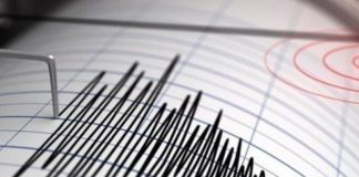 В Украине произошло землетрясение: стал известен уровень