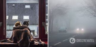 Дожди, снег, туман и гроза: суббота приготовила калейдоскоп погодных явлений. Карта