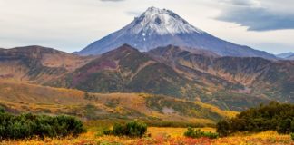 Купол вулкана Шивелуч разрушился в результате извержения