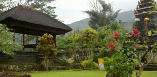 Туроператоры просят посла Индонезии поддержать отмену сертификатов вакцинации для въезда россиян