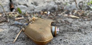 В оккупированном Донецке был замечен ежик с «Лепестком» на спине: кадры попали в Сеть