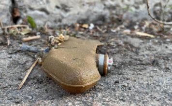 В оккупированном Донецке был замечен ежик с «Лепестком» на спине: кадры попали в Сеть