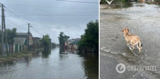 Подрыв ГЭС – это глобальная катастрофа, соизмеримая с аварией на ЧАЭС, украинская земля превратится в пустыню, – Порошенко