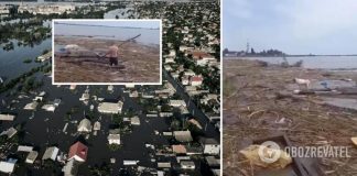 Собаку с Херсонщины на доске прибило к берегу возле Одессы: ее спасли местные жители. Трогательное видео