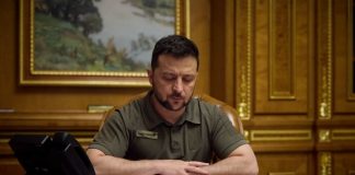 Зеленский и Эрдоган обсудили реанимирование «зерновой сделки»