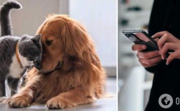 В Украине создадут электронный реестр домашних животных: что нужно знать зоовладельцам