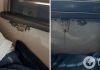 «Бонус к поездке?» Сеть взбудоражили фото грибов, выросших прямо в поезде УЗ. Фото